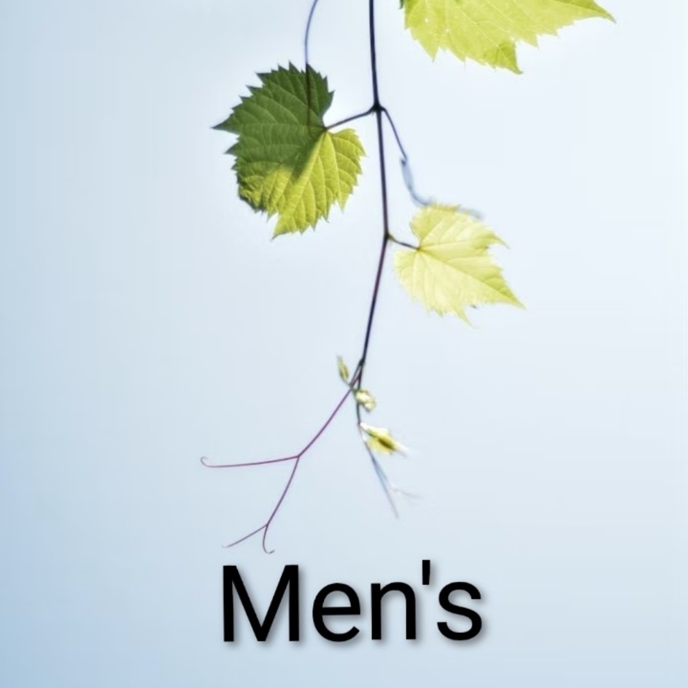 MEN'S CLOTHING AND ACCESSORIES